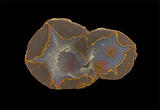 79 bed thunderegg