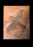 Cygnus