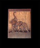 Elephants