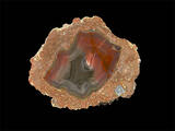 baker ranch thunderegg