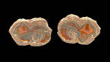 baker ranch thunderegg