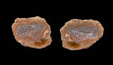 baker ranch thunderegg