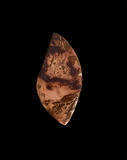 Carrasite Jasper
