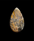 graveyard point plume agate cabochon