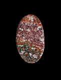 leopardskin jasper cabochon