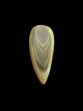 madagascar agate cabochon