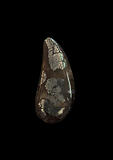 Marcasite in Quartz cabochon