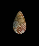 Royal Dead Camel Jasper Cabochon