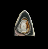 royal imperial jasper cabochon