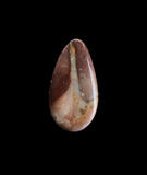 willow creek jasper cabochon