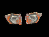 Lava Cap Thunderegg