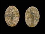 pacific coast picasso jasper specimen