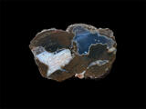 Priday Bed Thunderegg