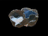 Priday Bed Thunderegg
