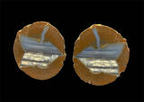 Priday Bed Thunderegg
