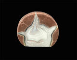 richardson ranch thunderegg