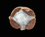 richardson ranch thunderegg