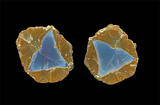 richardson ranch opal bed thunderegg