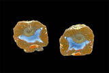 richardson ranch opal bed thunderegg