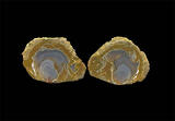 eddy bed thunderegg