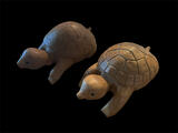 rotating turtles carving
