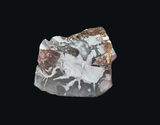 Willow Creek Jasper