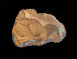 willow creek jasper specimen