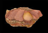 willow creek jasper specimen