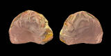 willow creek jasper specimen