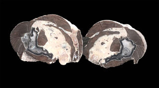 Lava Cap Thunderegg